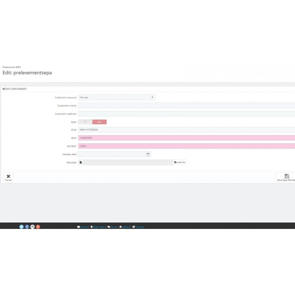 SEPA Module direct debit