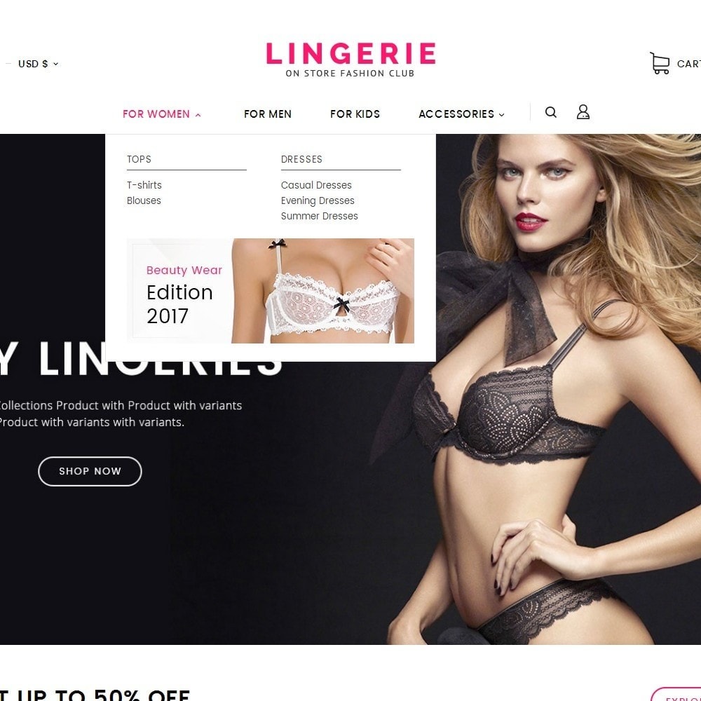 Adult Stores Lingerie 17